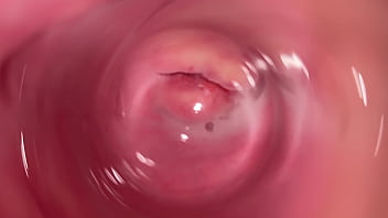 penis inside of vagina video