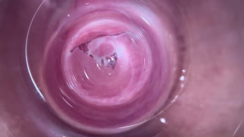 insert snake in vagina